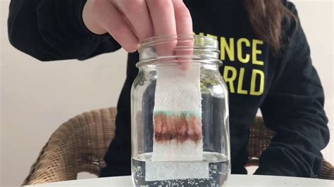 chromatography explained for kids.